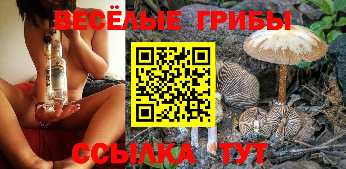 Галлюциногенные грибы Magic Shrooms Королёв