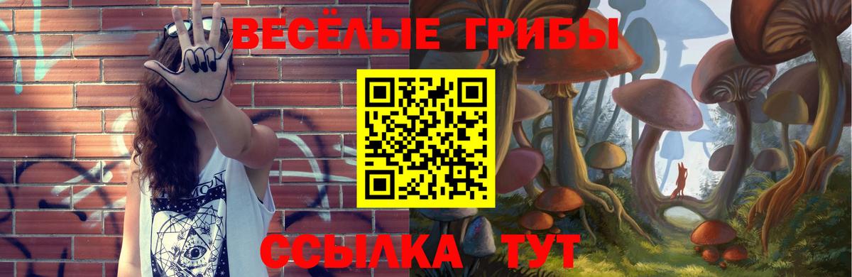 Галлюциногенные грибы мухоморы  Псилоцибиновые грибы прущие грибы  Королёв  Вход с VPN 